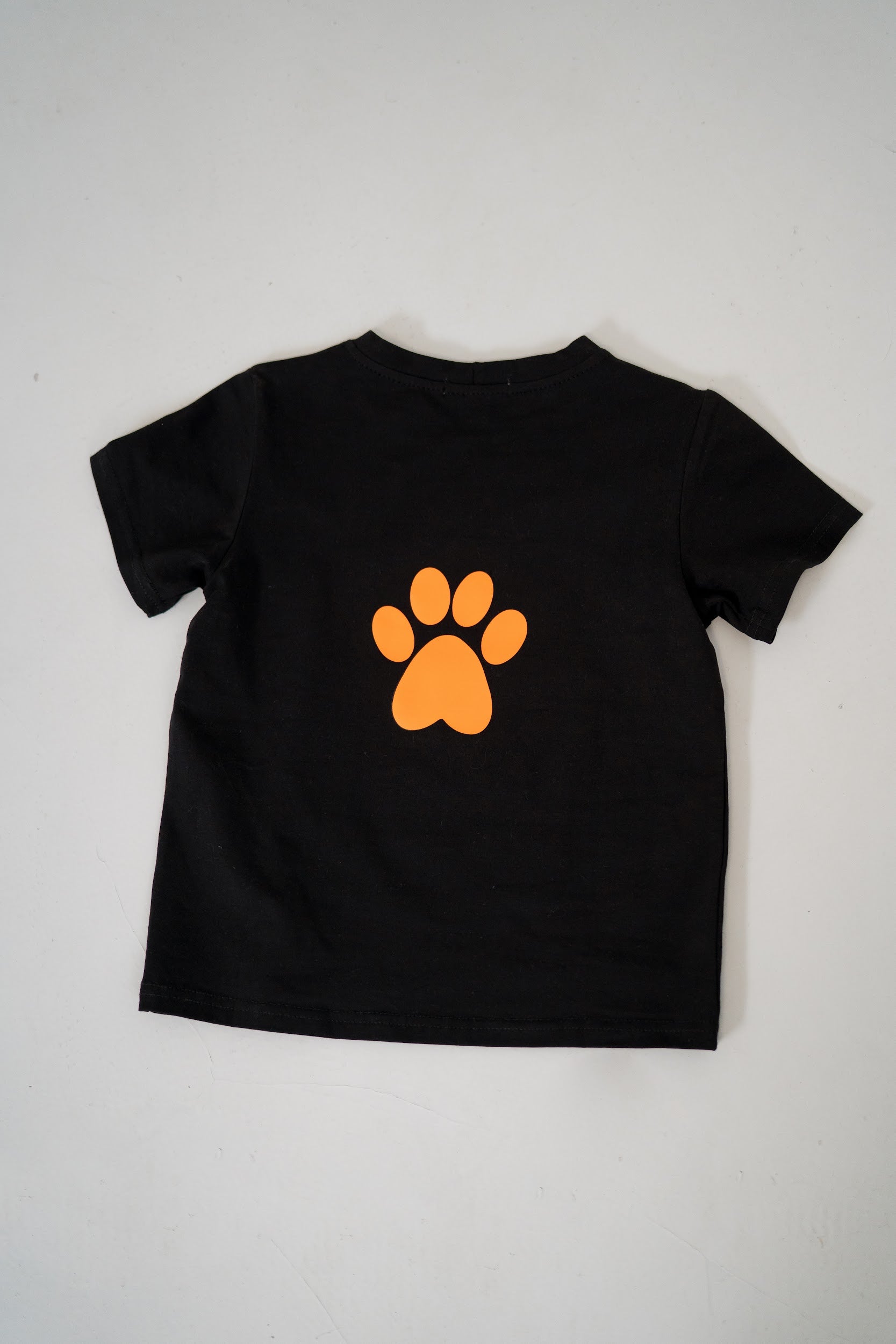 Unisex Classic Black T-Shirt LEMONI